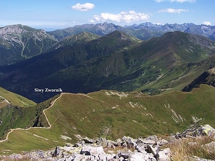 siva veza siwy zwornik parque nacional tatra