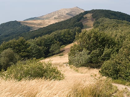 szare berdo bieszczadzki park narodowy