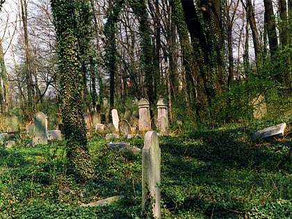stary cmentarz zydowski cieszyn