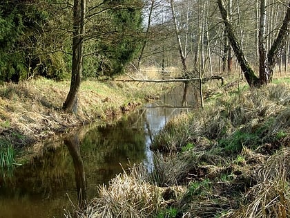 kanal wolczkowski jezioro swidwie