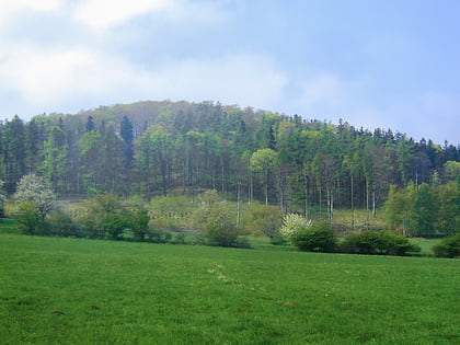 Góra Wilczyna