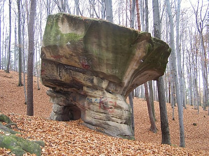 Rezerwat przyrody Kamień-Grzyb