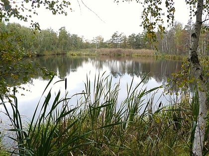 Bagno Chlebowo