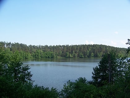 Drawieński Park Narodowy