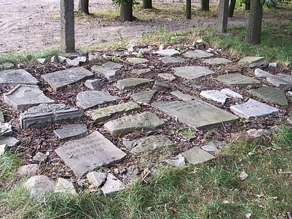 cmentarz zydowski w wielowsi