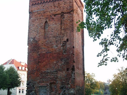 braniewo castle