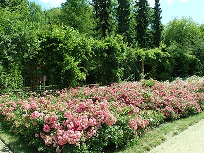 ogrod rozany szczecin