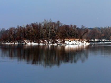 rezerwat przyrody lawice kielpinskie