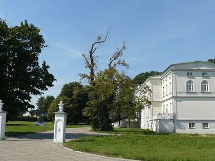 Pałac w Koszewku
