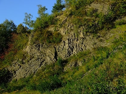 rezerwat przyrody wilcza gora