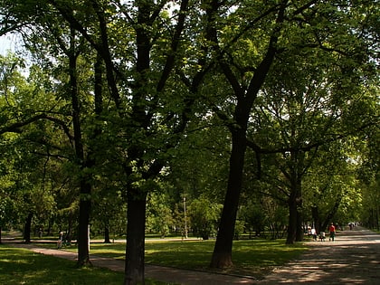 park szwedzki cracovia