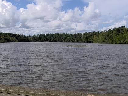 jezioro dolgie male parc national de slowinski