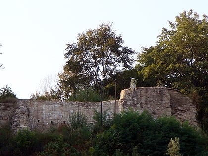 Ruiny Zamku Starostów