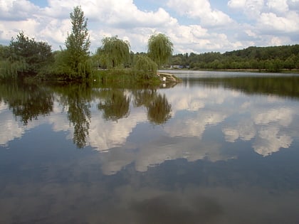 valley of three ponds katowice