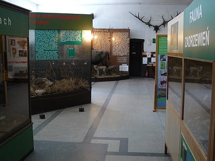 muzeum wiedzy o srodowisku poznan