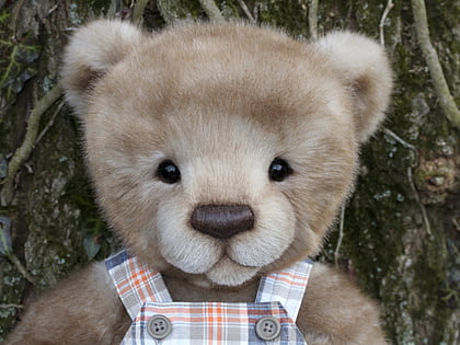 teddy bear museum zakopane