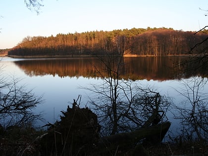 sierakow landscape park
