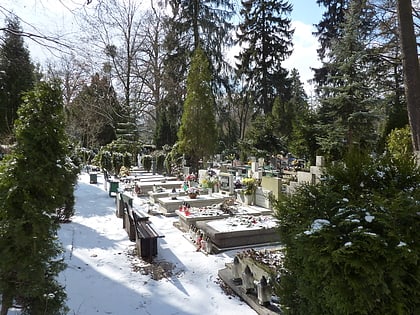 cmentarz grabiszynski breslavia