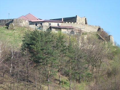 Zamek Dobczyce