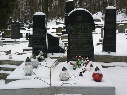 nowy cmentarz zydowski przemysl