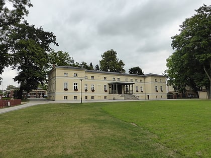 Pałac Heyderów w Grodzisku Wielkopolskim
