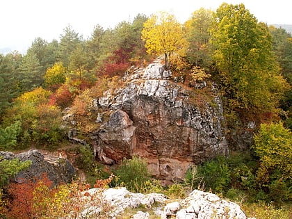 rezerwat przyrody gora zelejowa