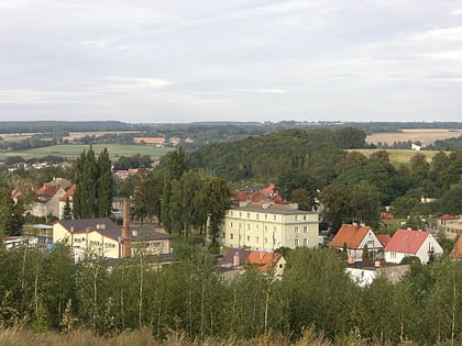 dzierzgon