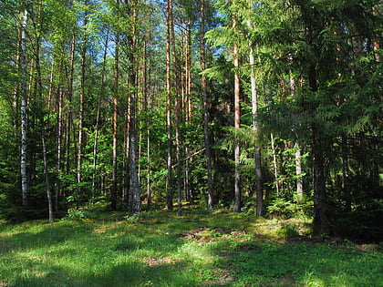 Augustów Primeval Forest