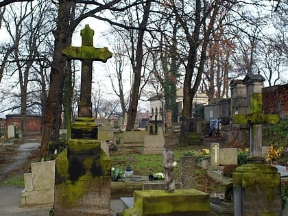 cmentarz ewangelicko augsburski kalisz