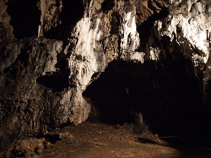 jaskinia lokietka nationalpark ojcow