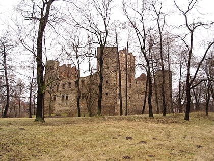 Drzewica Castle