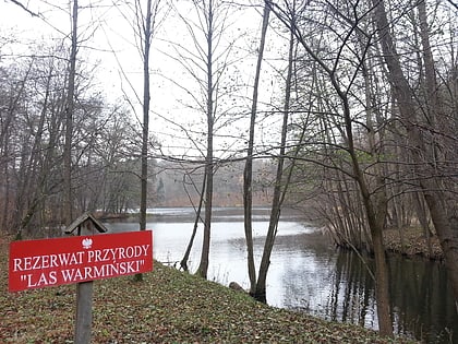 rezerwat przyrody las warminski im prof benona polakowskiego