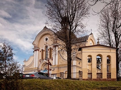 church of the assumption rzeszow