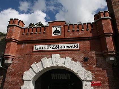 Forteresse de Toruń