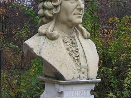 Linné-Denkmal