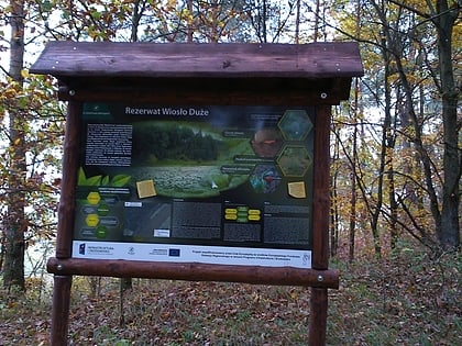Rezerwat przyrody Wiosło Duże