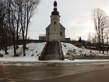 Kościół pw. Wniebowzięcia Najświętszej Maryi Panny we Wzdole