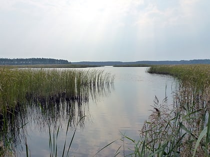 Janów Forests Landscape Park