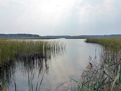 janow forests landscape park