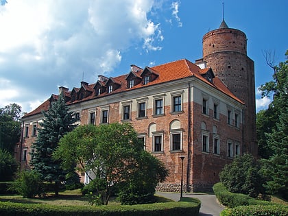 uniejow castle
