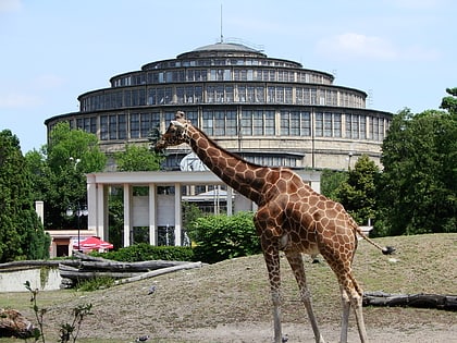 jardin zoologique de wroclaw
