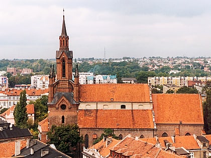 katedra sw mikolaja biskupa kalisz