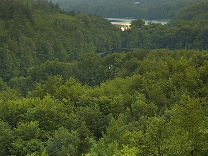 Rezerwat Szczelina Lechicka