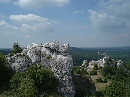 Rezerwat przyrody Góra Zborów
