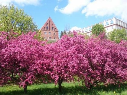 dom jana dlugosza muzeum diecezjalne sandomierz