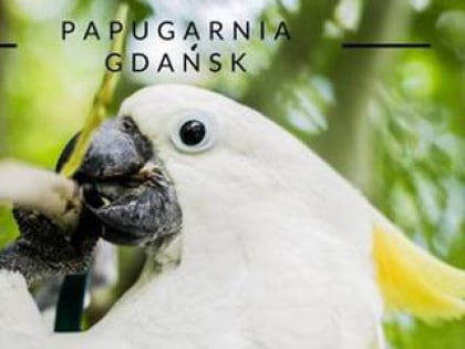 papugarnia gdansk danzig