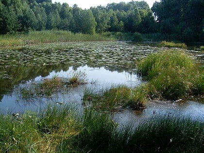 Parc naturel de Przemęt