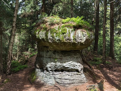skalne grzyby nationalpark heuscheuergebirge