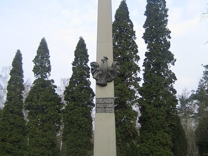 cmentarz junikowo poznan