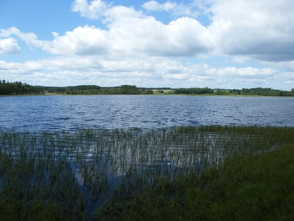 Lipno Lake